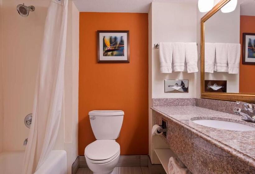 Номер Стандарт 2 Двуспальные Кровати, Best Western Plus Rockwall Inn & Suites