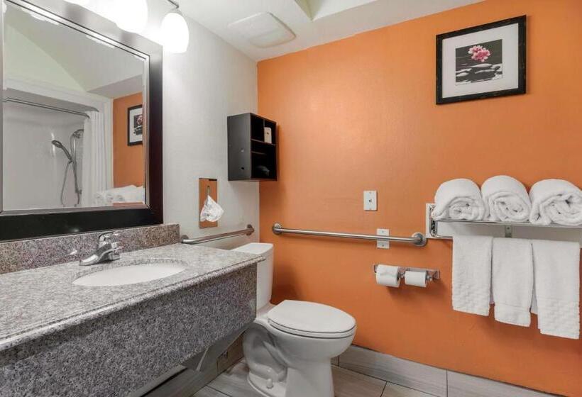 Люкс Адаптированный для Инвалидов, Best Western Plus Rockwall Inn & Suites