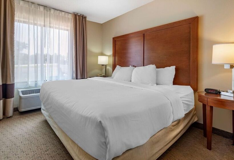 Люкс, Comfort Inn & Suites Black River Falls I94