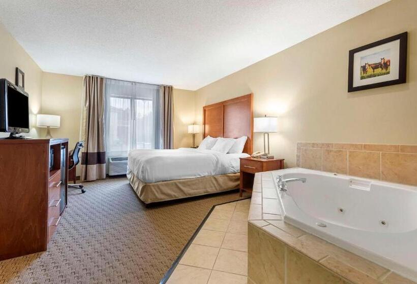 Стандартный Номер Кровать Кинг, Comfort Inn & Suites Black River Falls I94