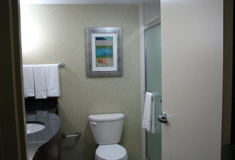 스탠다드 룸 더블 침대, Holiday Inn & Suites Virginia Beach   North Beach, An Ihg