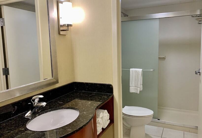 스탠다드 룸 더블 침대, Holiday Inn & Suites Virginia Beach   North Beach, An Ihg