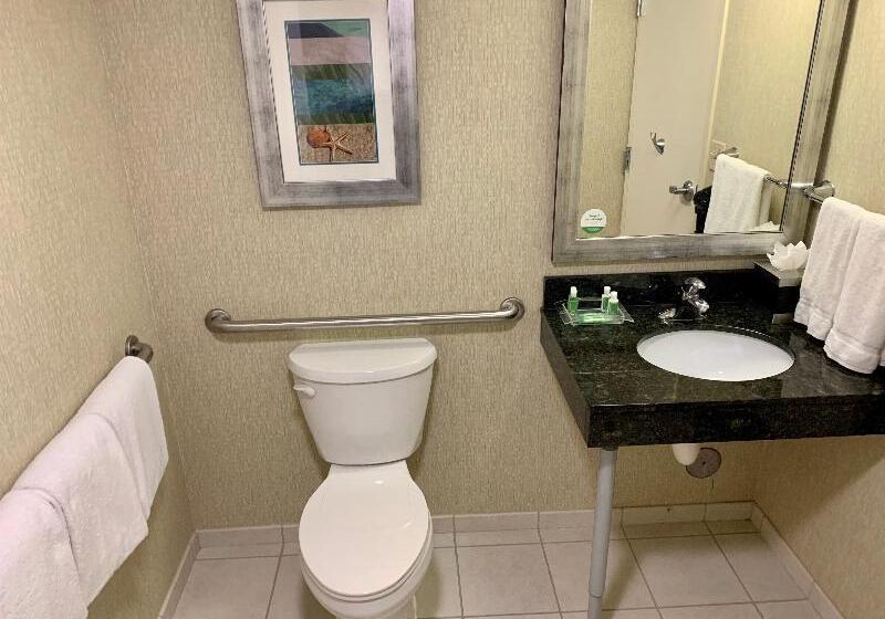 장애인을 위한 스탠다드 룸, Holiday Inn & Suites Virginia Beach   North Beach, An Ihg