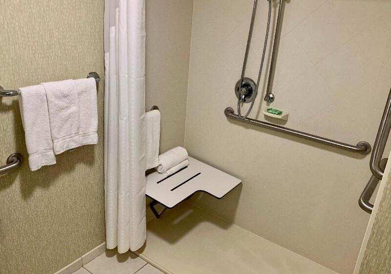 장애인을 위한 스위트, Holiday Inn & Suites Virginia Beach   North Beach, An Ihg