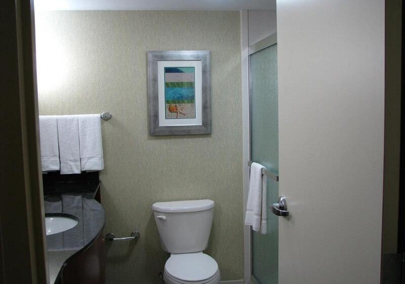 스탠다드 룸 바다 전망, Holiday Inn & Suites Virginia Beach   North Beach, An Ihg