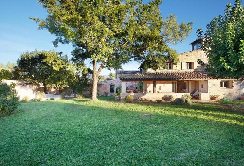 Апартаменты Superior 1 Спальня, Domaine Les Petites Vaines