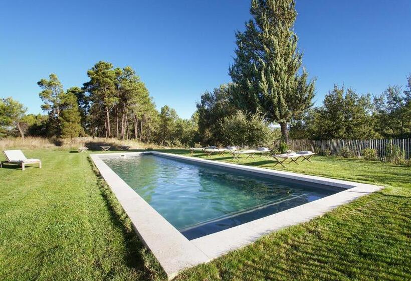 Апартаменты Deluxe 1 Спальня, Domaine Les Petites Vaines