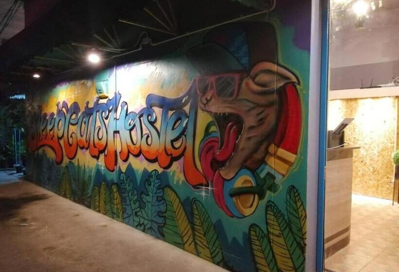 اتاق استاندارد یک نفره, Sleepcats Hostel