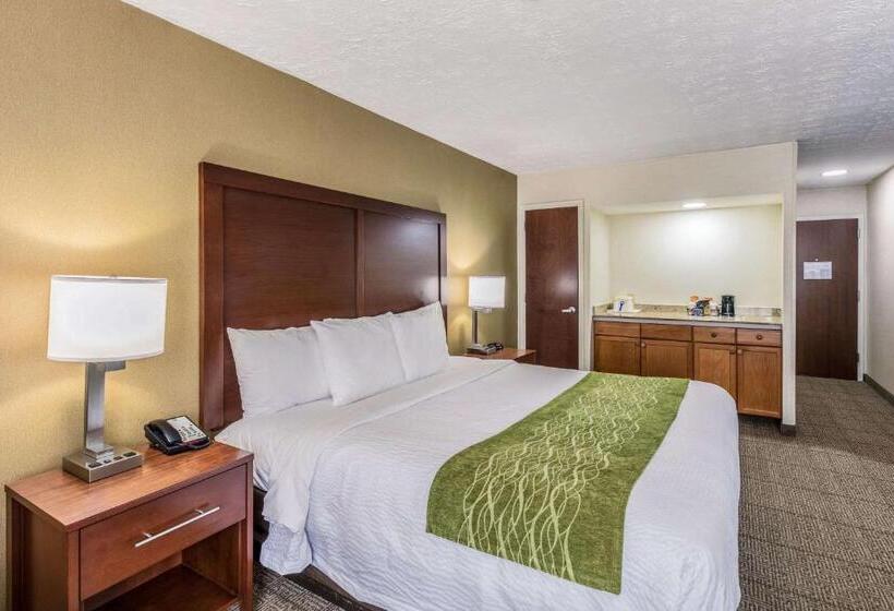 Номер Superior, Comfort Inn Medfordlong Island