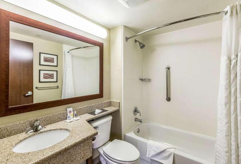 Номер Superior, Comfort Inn Medfordlong Island