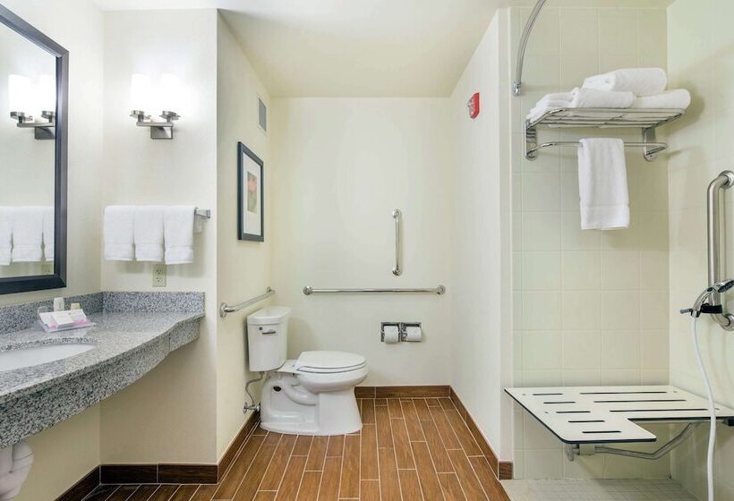 Номер Стандарт Адаптированный для Инвалидов, Hilton Garden Inn Pascagoula