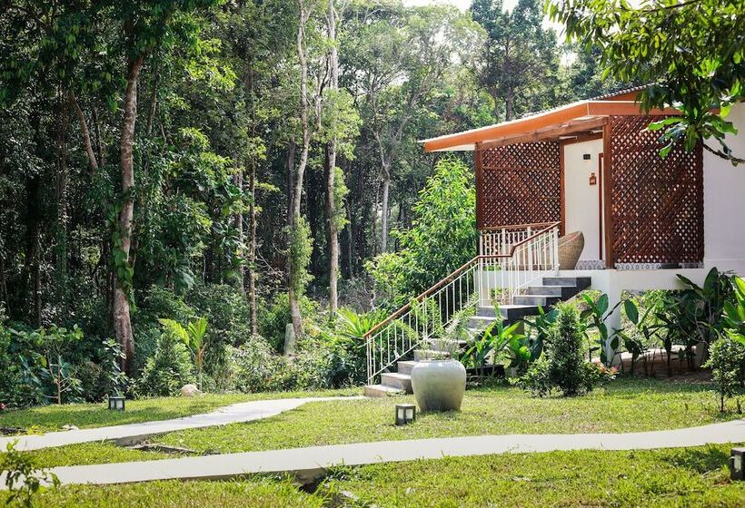 Quarto Superior, La Passion By Achariyak
