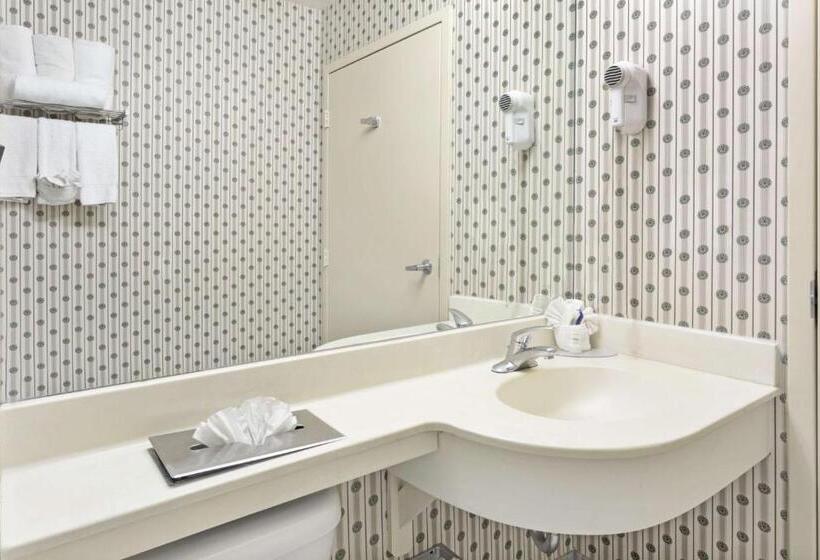 キングサイズベッドのスタンダードルーム, Microtel Inn & Suites By Wyndham Denver Airport