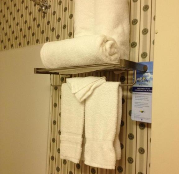 חדר סטנדרט, Microtel Inn & Suites By Wyndham Denver Airport