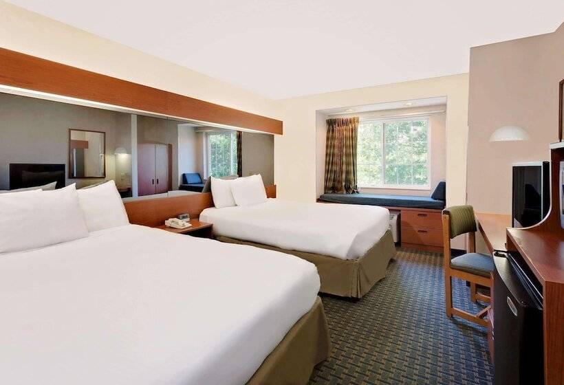 适合残疾人使用的标准间, Microtel Inn By Wyndham Winston Salem