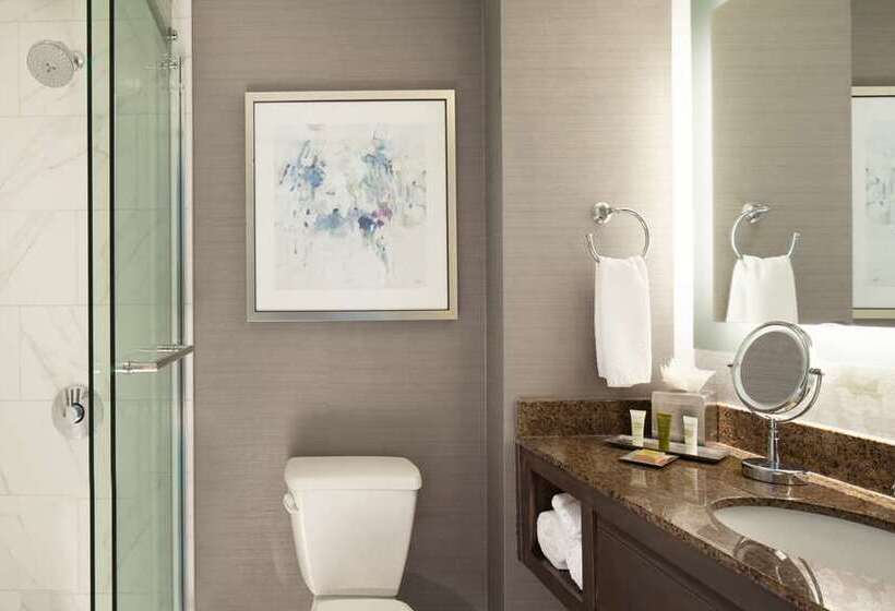 キングサイズベッドのスタンダードルーム, Hilton Atlanta/marietta Hotel & Conference Center