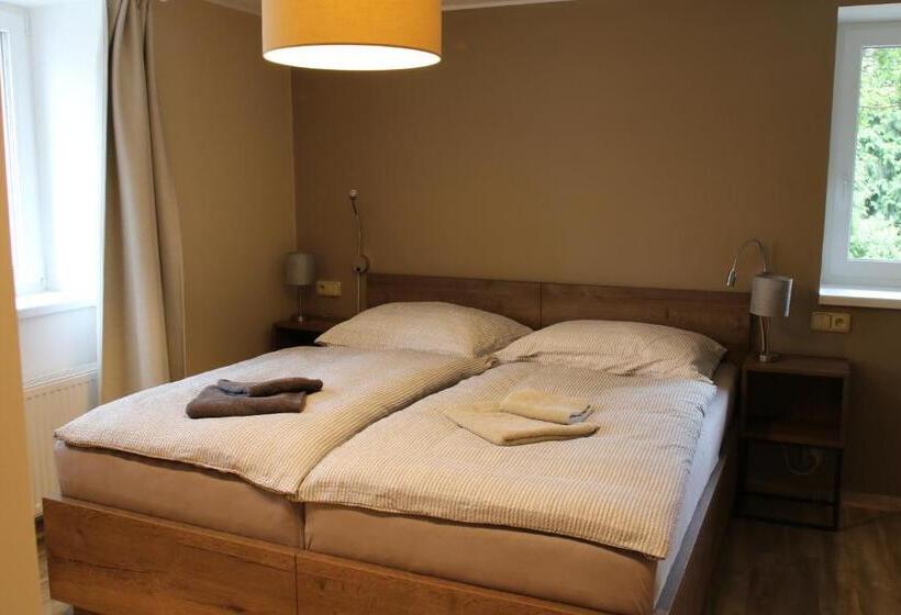 带大床的标准间, Apartmány Lama