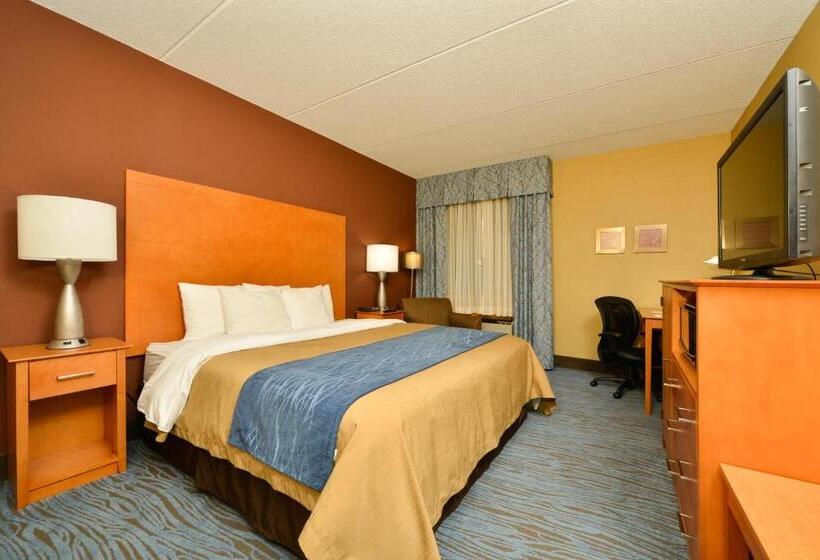 Номер Стандарт Кровать Кинг Адаптированный для Инвалидов, Spark By Hilton Plymouth