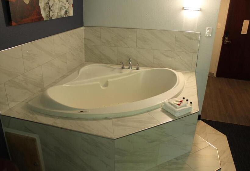Студия Deluxe, Travelodge By Wyndham Water S Edge Hotel   Racine