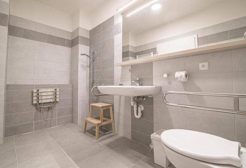 Номер Стандарт Адаптированный для Инвалидов, Garni Hotel Roušarka