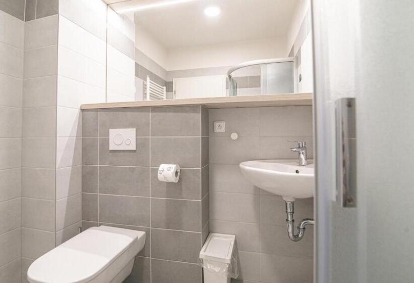 Номер Стандарт Трехместный, Garni Hotel Roušarka