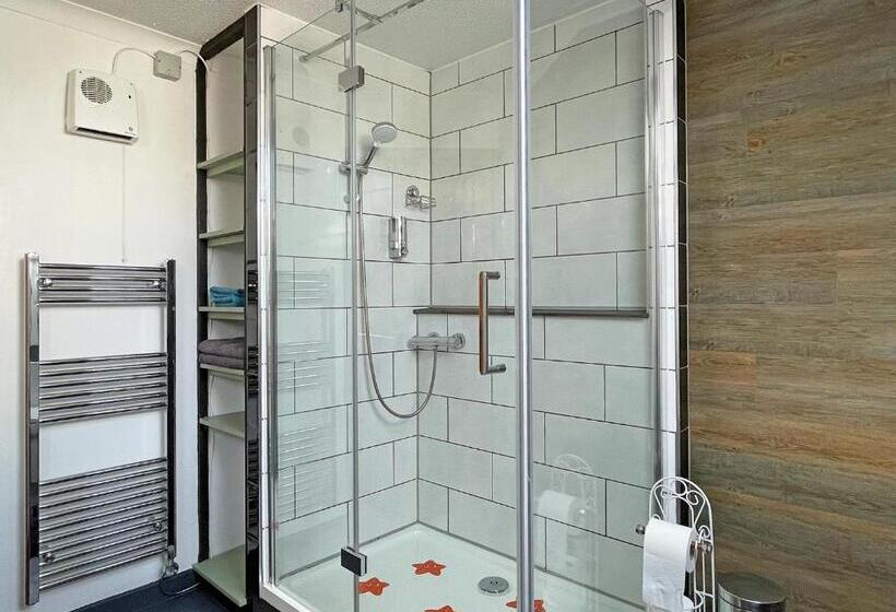 Стандартный Номер Кровать Кинг, Maesyfelin Isaf B&b