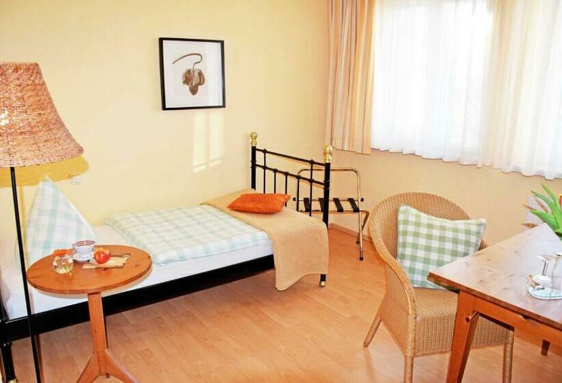 스탠다드 싱글 룸, Appartementhaus Sellin