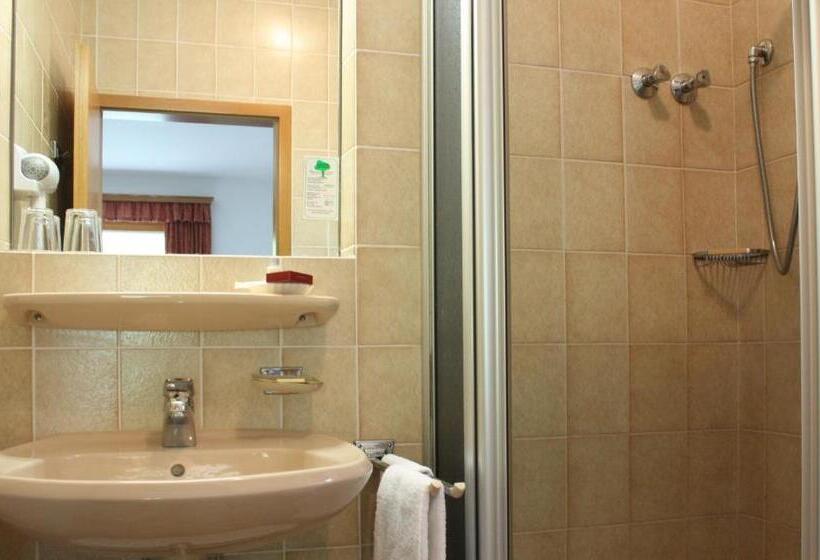 Номер Стандарт, Alpenhotel Bergzauber