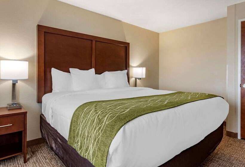 스위트 킹사이즈 침대, Comfort Inn & Suites Pueblo
