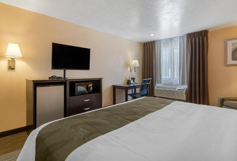 Стандартный Номер Кровать Кинг, Quality Inn & Suites Albuquerque North Near Balloon Fiesta Park