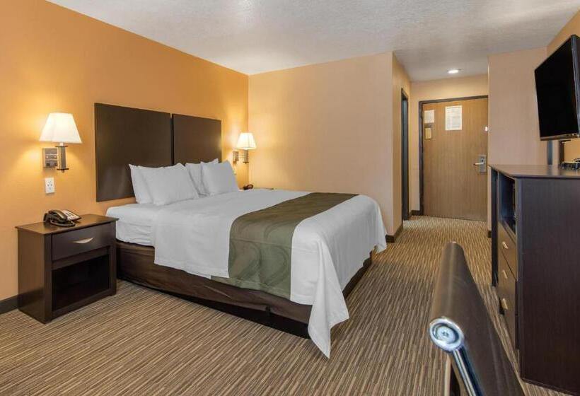 Стандартный Номер Кровать Кинг, Quality Inn & Suites Albuquerque North Near Balloon Fiesta Park