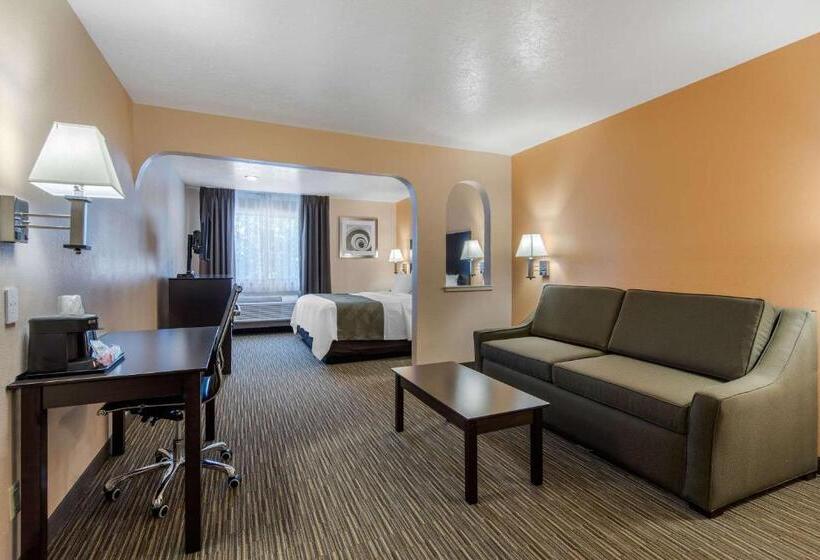Люкс Кровать Кинг, Quality Inn & Suites Albuquerque North Near Balloon Fiesta Park