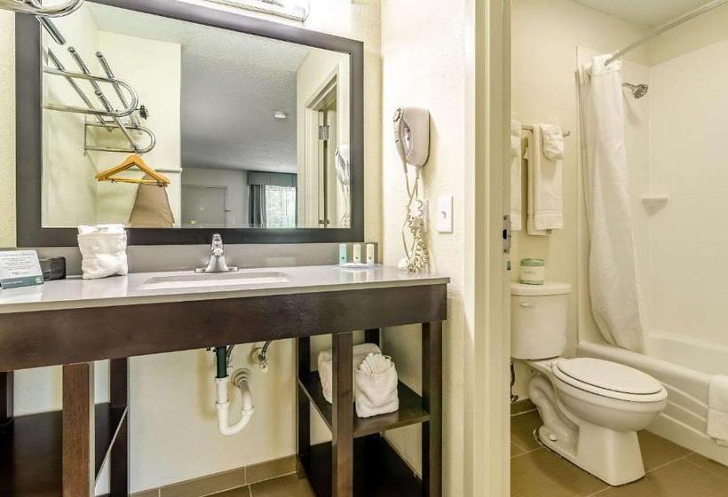 Номер Стандарт 2 Двуспальные Кровати, Quality Inn & Suites Creedmor   Butner
