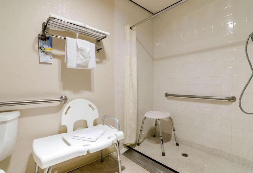 장애인을 위한 스탠다드 룸, Quality Inn & Suites Salina