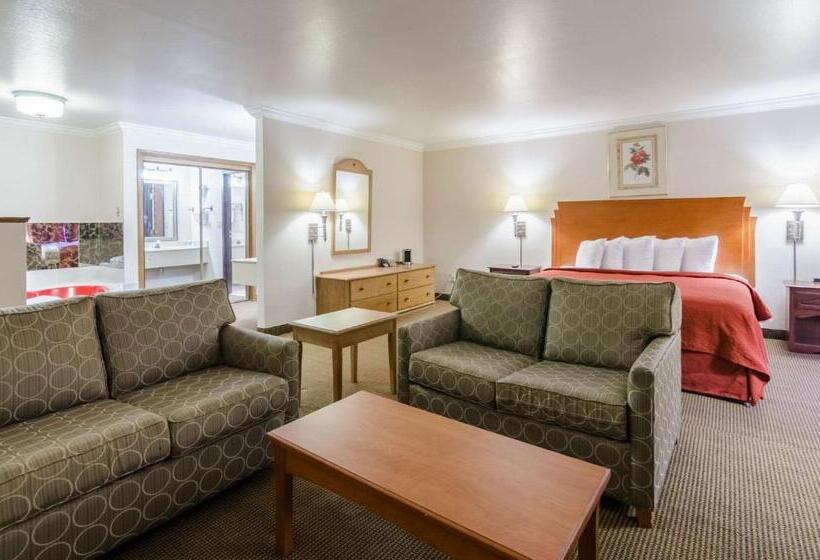 스위트 킹사이즈 침대, Quality Inn & Suites Salina