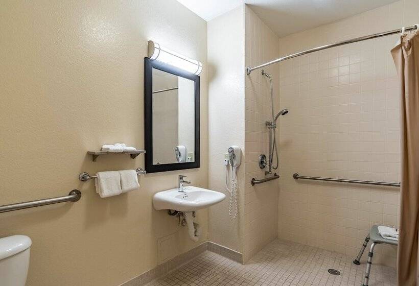 스탠다드 룸 더블 침대 2개, Red Roof Inn Plus+ Tempe   Phoenix Airport