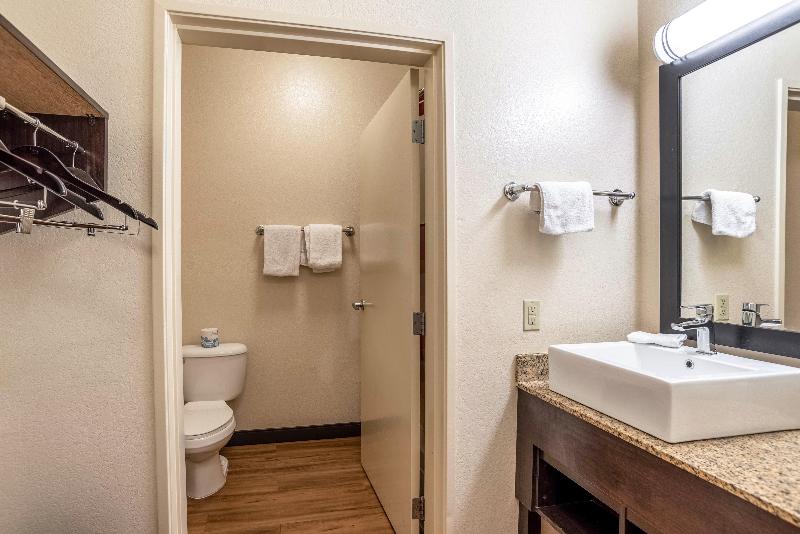 디럭스 룸 킹사이즈 침대, Red Roof Inn Plus+ Tempe   Phoenix Airport