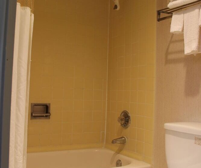 Номер Стандарт 2 Двуспальные Кровати, Regency Inn Richmond
