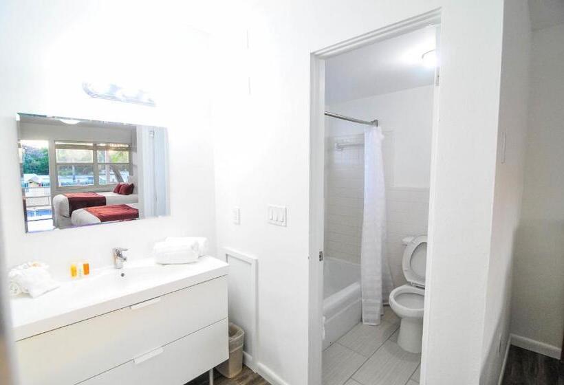 带2个双人床的标准工作室, Regency Inn & Suites Sarasota