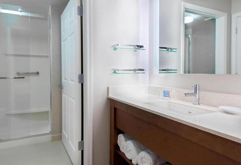 クイーンベッドのスタンダードスタジオ, Residence Inn By Marriott Sarasota Bradenton