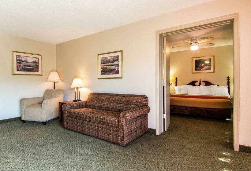스위트 킹사이즈 침대, Econo Lodge Inn & Suites Conference Center Dublin