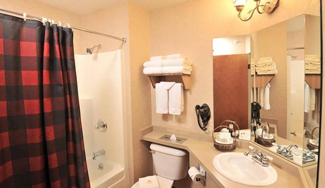 Стандартный Номер Кровать Кинг, Boarders Inn & Suites By Cobblestone Hotels In Waukon
