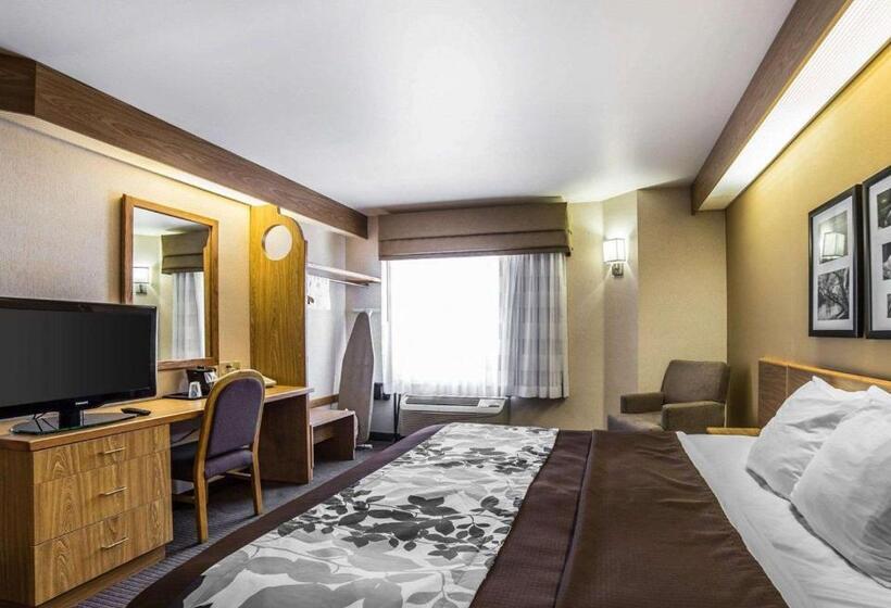 Стандартный Номер Кровать Кинг, Quality Inn Moab Slickrock Area