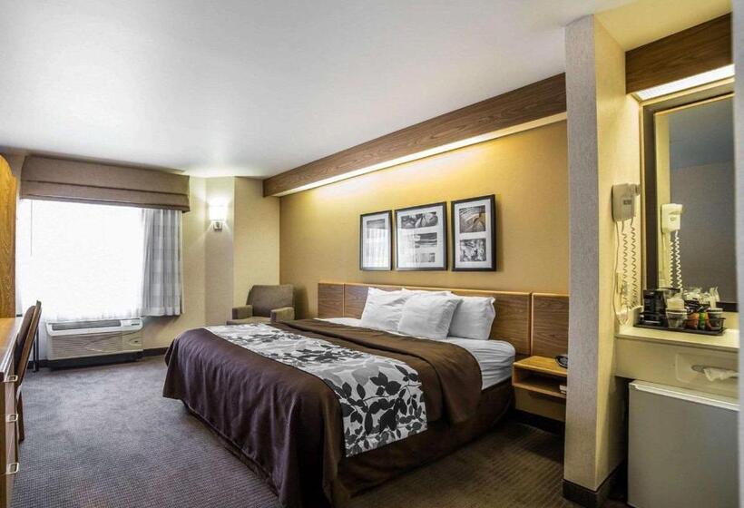 Стандартный Номер Кровать Кинг, Quality Inn Moab Slickrock Area