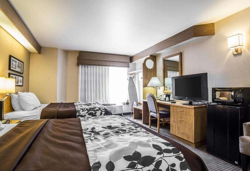 Номер Стандарт, Quality Inn Moab Slickrock Area