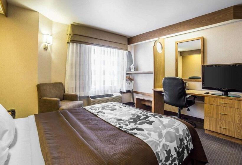 Номер Стандарт Адаптированный для Инвалидов, Quality Inn Moab Slickrock Area
