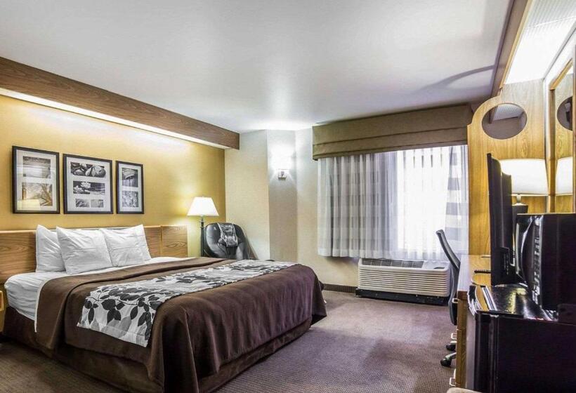 Номер Стандарт Адаптированный для Инвалидов, Quality Inn Moab Slickrock Area