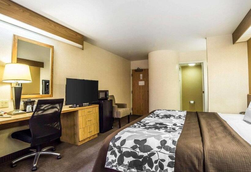 Номер Стандарт Адаптированный для Инвалидов, Quality Inn Moab Slickrock Area