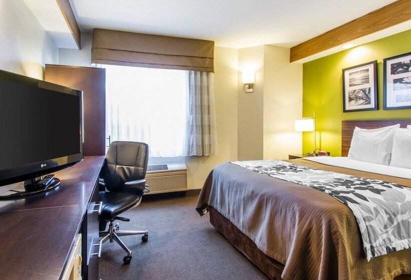 חדר סטנדרט שתי מיטות זוגיות, Econo Lodge Amarillo East