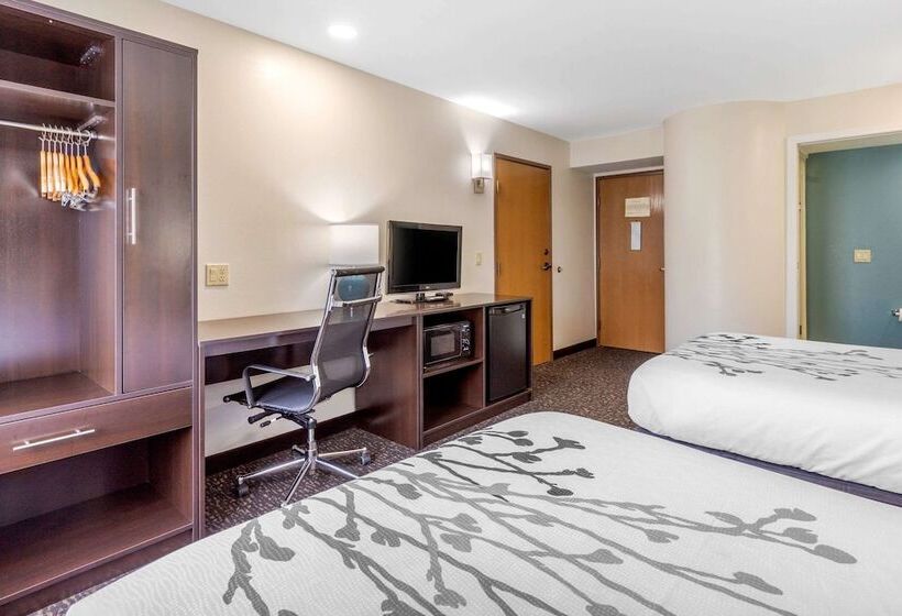 带2个双人床的标准工作室, Sleep Inn & Suites
